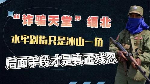 缅北被害人爆料视频大全,揭秘缅北犯罪团伙的黑暗真相 第3张 缅北被害人爆料视频大全,揭秘缅北犯罪团伙的黑暗真相 第3张