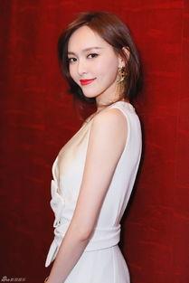 郑洁爆料郑文发言视频大全,视频大全揭秘背后真相 第1张 郑洁爆料郑文发言视频大全,视频大全揭秘背后真相 第1张