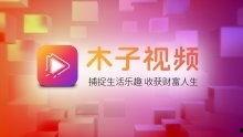 关于木子爆料的视频播放,事件背后真相全解析  第3张