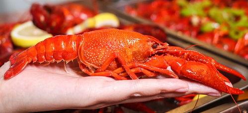 厦门龙虾爆料事件真相视频,揭秘事件背后惊人内幕