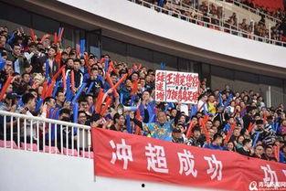 青岛黄海最新爆料,揭秘球队备战新赛季的神秘面纱