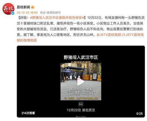 武汉网友爆料视频,惊现神秘现象,揭秘城市背后惊人秘密! 第3张 武汉网友爆料视频,惊现神秘现象,揭秘城市背后惊人秘密! 第3张