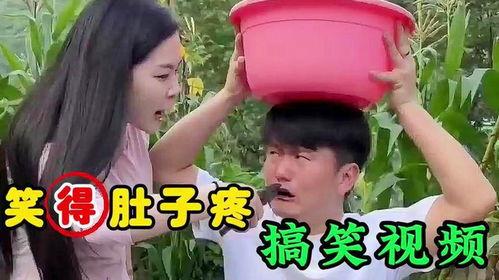 幽默搞笑视频爆料大全集,笑到肚子疼的欢乐盛宴