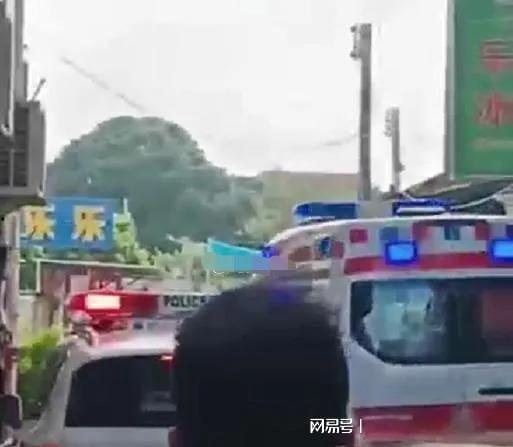 西湖爆料车祸最新消息视频,惊心动魄现场直击