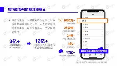 发哥娱乐爆料视频下载,视频下载攻略大公开！  第2张