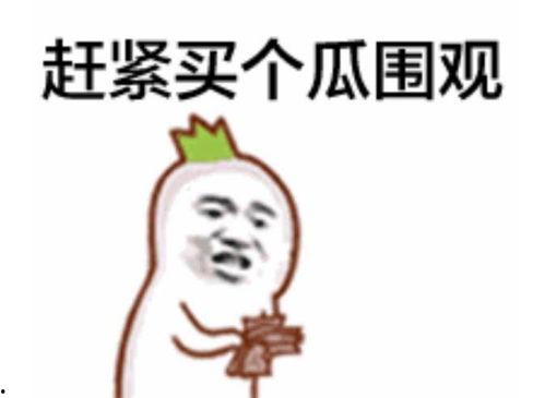 网红吃瓜摇头表情包图片,揭秘网络热梗背后的趣味与思考  第3张