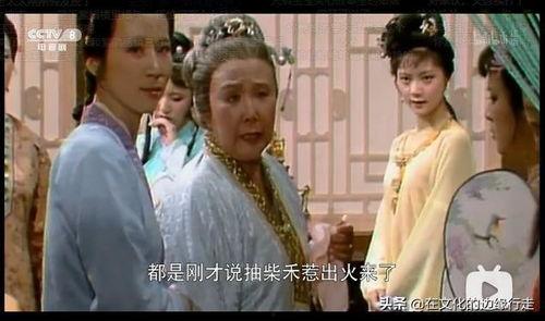 刘姥姥的爆料视频大全下载,揭秘娱乐圈幕后真相  第2张