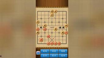 象棋黄丹青爆料视频在线观看,独家爆料视频在线观看