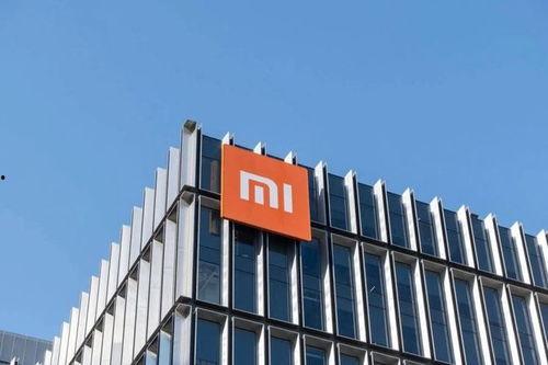 小米员工最新爆料新闻,揭秘公司内部重大动态与未来规划  第3张