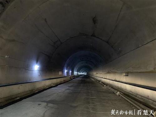 《隧道》在线观看,揭秘地下世界的人性探险之旅  第3张