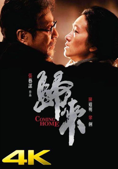 归来 电影在线观看,时光荏苒，家国情怀永恒传承  第3张