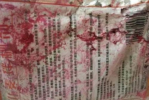 舞帝二哈爆料视频大全下载,揭秘幕后故事与精彩瞬间  第3张