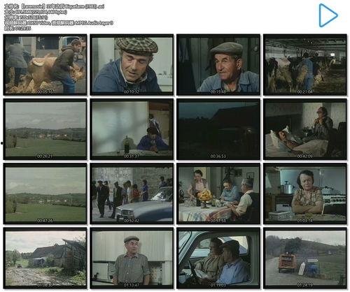 里奇电影在线观看,一场视觉盛宴的云端之旅  第3张