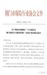 成都真实爆料案件最新情况,真相逐步浮出水面