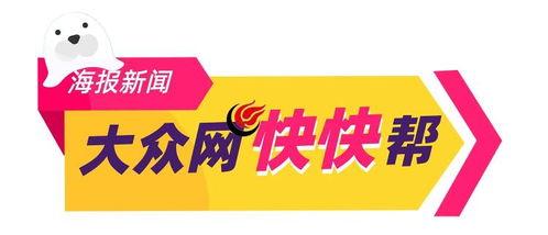 聊城今日爆料,聚焦热点事件，揭秘幕后真相