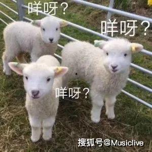 灰小羊视频爆料者是谁,是谁揭开神秘面纱？  第2张