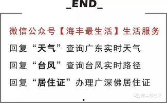 公平镇最新爆料信息查询,揭秘背后惊人真相  第2张