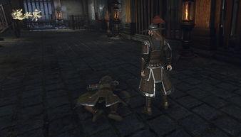 逆水寒新爆料视频大全,揭秘游戏新内容与精彩瞬间  第3张