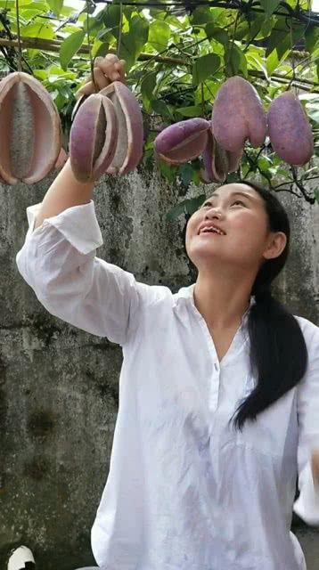 吃九月瓜视频在线观看免费,揭秘九月瓜的神奇魅力  第2张