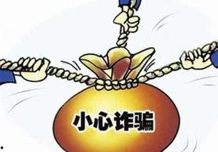 庞氏骗局爆料最新消息,揭秘连环诈骗背后的惊天阴谋  第3张