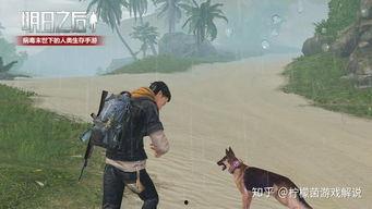 海岛新玩法爆料攻略视频,攻略视频深度解析  第2张