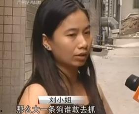 刘小姐爆料今日头条视频,今日头条视频背后的惊人真相