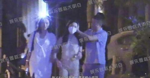 狗仔视频爆料大全最新,揭秘娱乐圈幕后真相  第3张