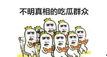 免费下载吃瓜群众,揭秘热门瓜子的秘密