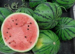 1917西瓜在线观看,穿越时空的冒险之旅 第2张 1917西瓜在线观看,穿越时空的冒险之旅 第2张