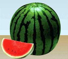 1917西瓜在线观看,穿越时空的冒险之旅 第3张 1917西瓜在线观看,穿越时空的冒险之旅 第3张