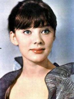 刘大锤爆料杨姓艺人视频,真相背后引人深思