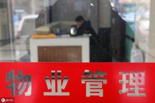 新城物业爆料事件视频最新,真相揭露与公众关注  第1张