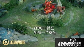 峡谷新闻爆料最新  第2张