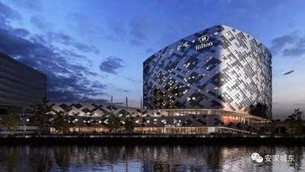 希尔顿最新爆料,揭秘豪门背后的惊人真相