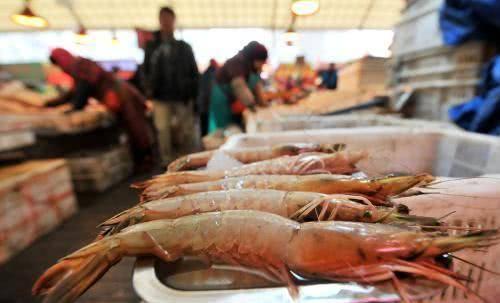 海鲜大虾真实爆料视频大全,视频大全背后的真相大起底