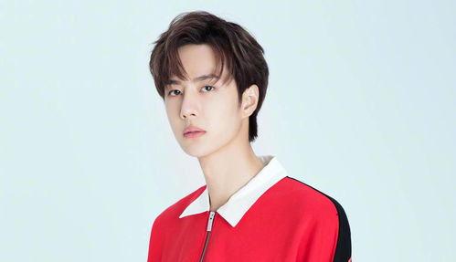 任嘉伦王一博最新爆料,揭秘幕后故事与精彩瞬间