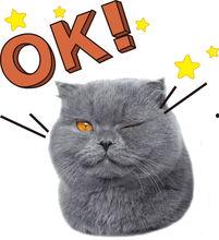 新瓜最新爆料猫小纯,揭秘娱乐圈背后的惊人真相 第2张 新瓜最新爆料猫小纯,揭秘娱乐圈背后的惊人真相 第2张