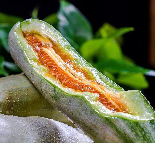 吃瓜的一个网红是谁 第1张 吃瓜的一个网红是谁 第1张