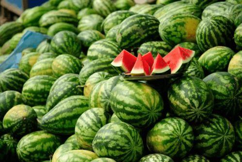 吃瓜的一个网红是谁 第2张 吃瓜的一个网红是谁 第2张