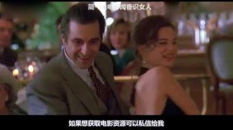 陌生人 在线观看,与陌生人在线相遇的奇妙旅程