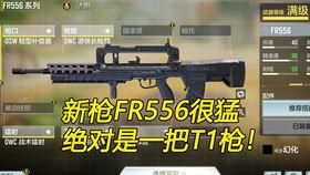 使命召唤老安手册爆料视频,老安手册揭秘，独家爆料带你领略游戏魅力  第2张