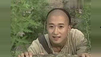 太极宗师电影在线观看,传承与对决,在线观看巅峰对决 第3张 太极宗师电影在线观看,传承与对决,在线观看巅峰对决 第3张