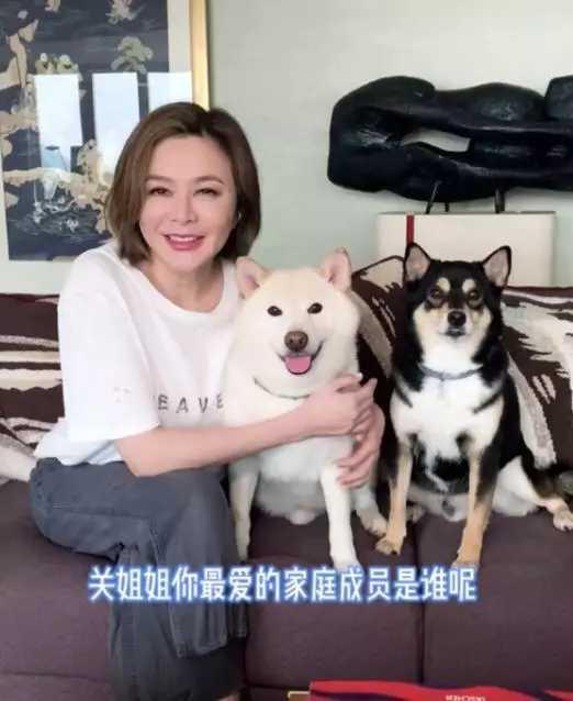 二狗单身青年爆料视频,单身生活大揭秘 第3张 二狗单身青年爆料视频,单身生活大揭秘 第3张