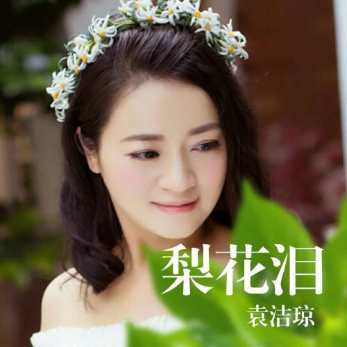梨花泪全集在线观看,感人至深的情感史诗,在线观看带你领略人间真情 第3张 梨花泪全集在线观看,感人至深的情感史诗,在线观看带你领略人间真情 第3张