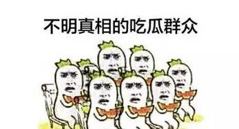 不要钱免费吃瓜 第3张 不要钱免费吃瓜 第3张